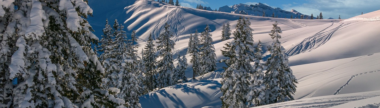 Winterlandschaft